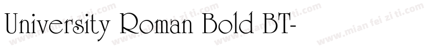 University Roman Bold BT字体转换